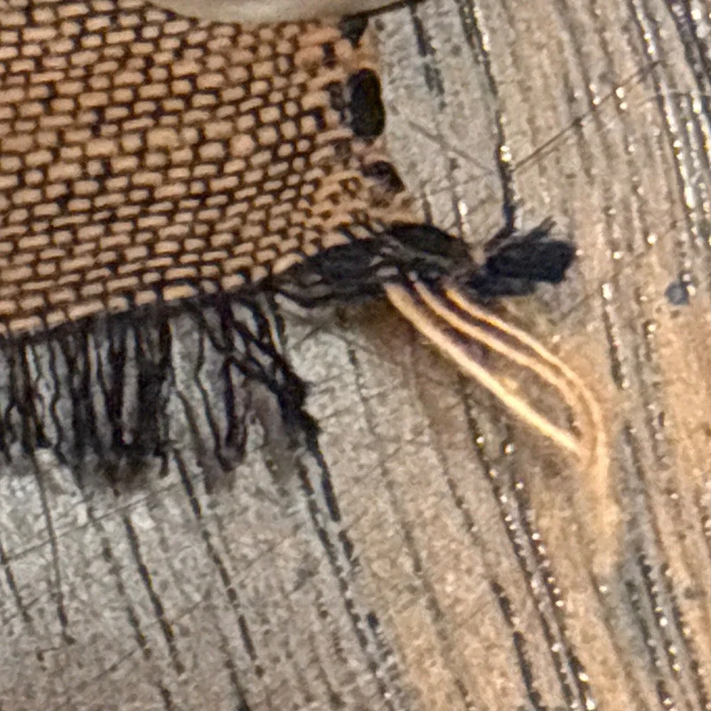 Handmade generosity sought